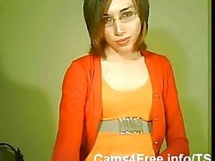 Amateur Transsexual Solo On Cam