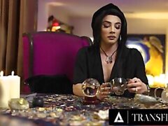 TRANSFIXED - ASMR Trans Fortune Teller Ariel Demure Hard Fucks Hot Tattooed Customer Vanessa